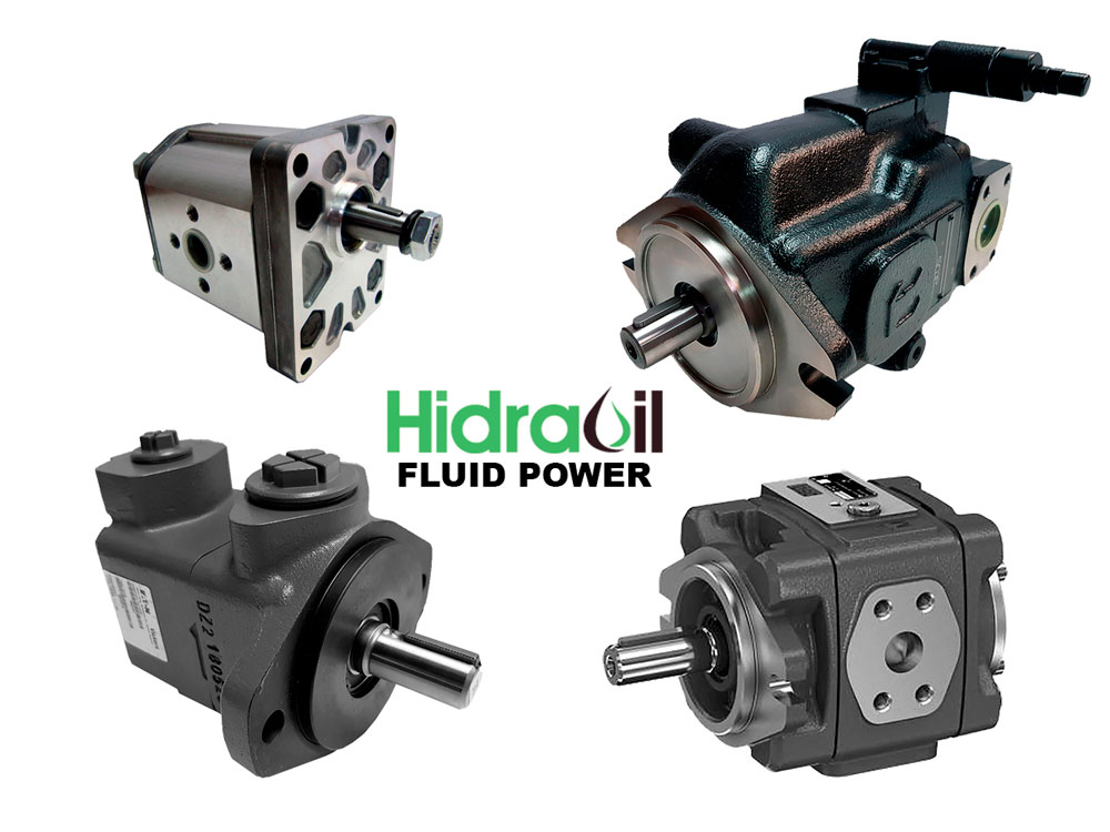 Pumps for hydraulic circuits